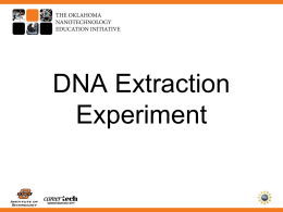 DNA Extraction Experiment  Updated UpdatedSeptember September2011 DNA molecules are the “building blocks of life” Now, they could become the building blocks of Nano-manufacturing.  cc by Zephyris  Updated September 2011
