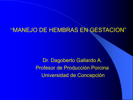 “MANEJO DE HEMBRAS EN GESTACION”  Dr. Dagoberto Gallardo A. Profesor de Producción Porcina Universidad de Concepción.