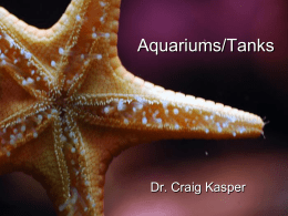 Aquariums/Tanks  Dr. Craig Kasper • Many people have owned or will own a fish tank (it may even contain fish)
