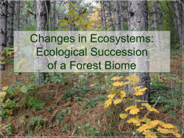 Changes in Ecosystems: Ecological Succession of a Forest Biome TN Standards • GLE 0607.2.4 I can analyze the environments and the interdependence among organisms found in.