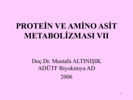 PROTEİN VE AMİNO ASİT METABOLİZMASI VII Doç.Dr. Mustafa ALTINIŞIK ADÜTF Biyokimya AD1 Amino asitlerin önemli fonksiyonları Amino asitlerin protein sentezinde kullanılmalarından başka, ketoasitlere dönüşüp daha ileri yıkılarak.