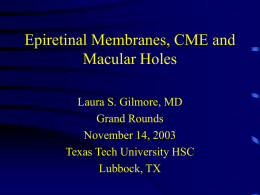 Epiretinal Membranes, CME and Macular Holes Laura S. Gilmore, MD Grand Rounds November 14, 2003 Texas Tech University HSC Lubbock, TX.