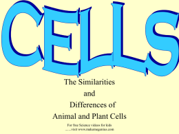The Similarities and Differences of Animal and Plant Cells For free Science videos for kids .......visit www.makemegenius.com.