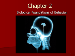 Chapter 2 Biological Foundations of Behavior Module 2.1  Neurons: The Body’s Wiring Its EVOLUTION!