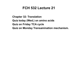 FCH 532 Lecture 21 Chapter 32: Translation Quiz today (Wed.) on amino acids Quiz on Friday TCA cycle Quiz on Monday Transamination mechanism.