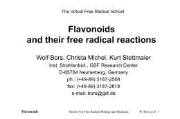 The Virtual Free Radical School  Flavonoids and their free radical reactions Wolf Bors, Christa Michel, Kurt Stettmaier Inst.