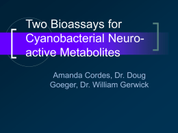 Two Bioassays for Cyanobacterial Neuroactive Metabolites Amanda Cordes, Dr. Doug Goeger, Dr. William Gerwick.