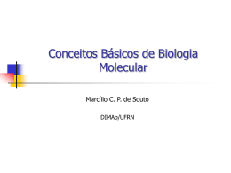 Conceitos Básicos de Biologia Molecular Marcílio C. P. de Souto DIMAp/UFRN Tópicos       Introdução  Célula e macro-moléculas  Proteínas e Ácidos nucléicos Ácidos Nucléicos  Componentes  DNA x.