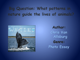 Big Question: What patterns in nature guide the lives of animals? Author: Chris Van Allsburg Genre: Photo Essay.