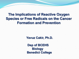 The Implications of Reactive Oxygen Species or Free Radicals on the Cancer Formation and Prevention  Yavuz Cakir, Ph.D.  Dep of BCEHS Biology Benedict College.