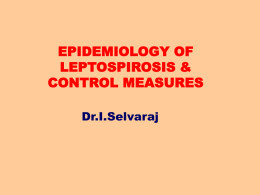 EPIDEMIOLOGY OF LEPTOSPIROSIS & CONTROL MEASURES Dr.I.Selvaraj • Leptospirosis is an acute anthropozoonotic infection • It occurs in tropical, subtropical and temperate zones. • Weil Disease,