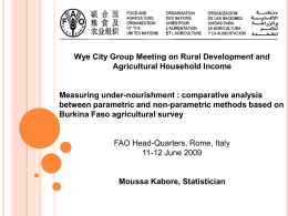 Wye City Group Meeting on Rural Development and Agricultural Household Income  Measuring under-nourishment : comparative analysis between parametric and non-parametric methods based on Burkina.
