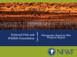 National Fish and Wildlife Foundation  Chesapeake Business Plan Progress Report Chesapeake Bay Stewardship Fund WHO WE ARE  Chartered by Congress in 1984  30 member.