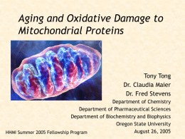 Aging and Oxidative Damage to Mitochondrial Proteins  Tony Tong Dr. Claudia Maier Dr. Fred Stevens Department of Chemistry Department of Pharmaceutical Sciences Department of Biochemistry and Biophysics Oregon.
