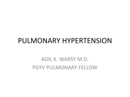 PULMONARY HYPERTENSION ADIL K. WARSY M.D. PGYV PULMONARY FELLOW FINANCIAL DISCLOSURES • None.