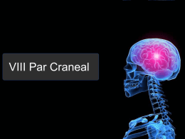 VIII Par Craneal Exploración del VIII Par Craneal • El octavo par craneal, o nervio auditivo, tiene 2 ramas: la rama coclear, encargada.