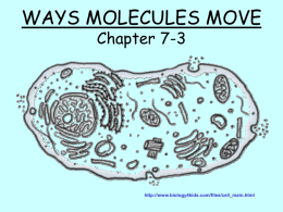 WAYS MOLECULES MOVE Chapter 7-3  http://www.biology4kids.com/files/cell_main.html See a video clip about DIFFUSION-7A Diffusion  http://lhs.lps.org/staff/sputnam/Biology/U3Cell/diffusion_1.png.