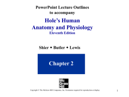 PowerPoint Lecture Outlines to accompany  Hole’s Human Anatomy and Physiology Eleventh Edition  Shier w Butler w Lewis  Chapter 2  Copyright © The McGraw-Hill Companies, Inc.