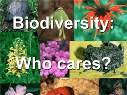 Biodiversity: Who cares? Which do you like better?  A  B Which do you like better?  A  B.
