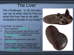 The Liver The Challenge: In 20 minutes, can we at least start to find out what the liver has to do with cholesterol levels.
