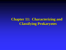 Chapter 11: Characterizing and Classifying Prokaryotes Phylogeny: The Study of Evolutionary Relationships of Living Organisms  Over 1.5 million different organisms have been identified.