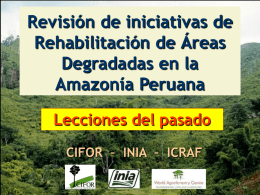 Revisión de iniciativas de Rehabilitación de Áreas Degradadas en la Amazonía Peruana Lecciones del pasado CIFOR – INIA – ICRAF.