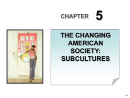 CHAPTER  THE CHANGING AMERICAN SOCIETY: SUBCULTURES  5-1 The Nature of Subcultures A subculture is a segment of a larger culture whose members share distinguishing values and patterns.