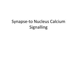 Synapse-to Nucleus Calcium Signalling Why Calcium? • Na+ and Cl- are sea water – Excluded to maintain low osmotic pressure – [K+]i kept high.