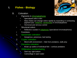 I.  Fishes - Biology B.  Coloration •  Pigments in chromatophores • • •  •  Specialized cells in skin Many fishes can change colors rapidly by expanding or contracting pigment (usu.
