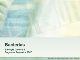Bacterias Biología General II Segundo Semestre 2007 Presentación elaborada por: Rosa Alicia Jiménez.