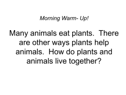 Morning Warm- Up!  Many animals eat plants. There are other ways plants help animals.