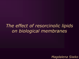 The effect of resorcinolic lipids on biological membranes  Magdalena Siwko Resorcinolic lipids • Found in higher plants (cashew  nut, Ginkgo biloba, wheat bran, rye, barley),