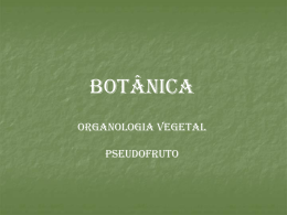 BOTÂNICA ORGANOLOGIA VEGETAL PSEUDOFRUTO Pseudofruto: proveniente de outra parte floral, não do ovário.       a.