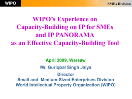SMEs Division  WIPO’s Experience on Capacity-Building on IP for SMEs and IP PANORAMA as an Effective Capacity-Building Tool April 2009, Warsaw Mr.