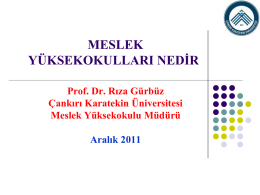 MESLEK YÜKSEKOKULLARI NEDİR Prof. Dr. Rıza Gürbüz Çankırı Karatekin Üniversitesi Meslek Yüksekokulu Müdürü Aralık 2011