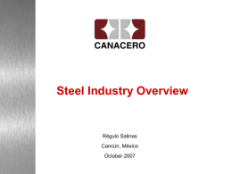 Steel Industry Overview  Régulo Salinas  Cancún, México October 2007 Global Steel Industry Resumed its Growth After Decades of Stagnation and Low Profitability World Crude Steel.