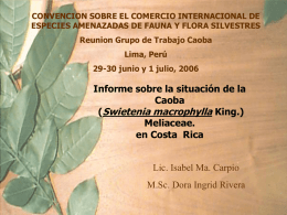 CONVENCION SOBRE EL COMERCIO INTERNACIONAL DE ESPECIES AMENAZADAS DE FAUNA Y FLORA SILVESTRES Reunion Grupo de Trabajo Caoba Lima, Perú  29-30 junio y 1
