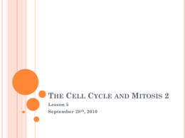 THE CELL CYCLE AND MITOSIS 2 Lesson 5 September 28th, 2010 CELL GROWTH AND REPAIR  Multicellular  organisms are made up of many different cells. 