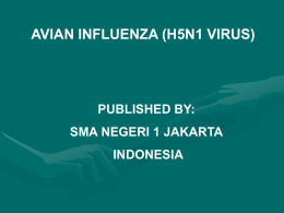 AVIAN INFLUENZA (H5N1 VIRUS)  PUBLISHED BY: SMA NEGERI 1 JAKARTA INDONESIA AVIAN INFLUENZA Avian influenza, or “bird flu”, is a contagious disease of animals caused.