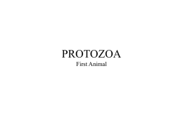 PROTOZOA First Animal Parasite • Lives at expense of host  • Ectoparasites – Ticks & lice  • Endoparasites – Protozoan & worms.
