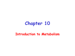 Chapter 10 Introduction to Metabolism Mutienzyme complex  Separate enzymes  Membrane Bound System Organization of Pathways Closed Loop (intermediates recycled)  Linear (product of rxns are substrates for subsequent rxns)  Spiral (same set of enzymes used repeatedly)