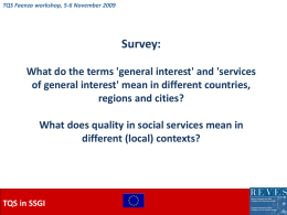 TQS Faenza workshop, 5-6 November 2009  Survey: What do the terms 'general interest' and 'services of general interest' mean in different countries, regions and.