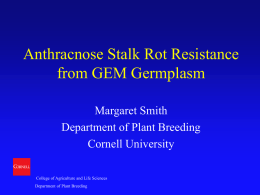 Anthracnose Stalk Rot Resistance from GEM Germplasm Margaret Smith Department of Plant Breeding Cornell University College of Agriculture and Life Sciences Department of Plant Breeding.