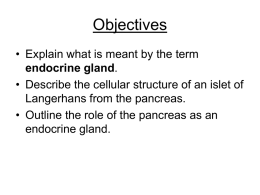 Objectives • Explain what is meant by the term endocrine gland. • Describe the cellular structure of an islet of Langerhans from the pancreas. •