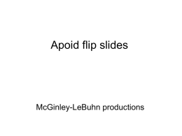 Apoid flip slides  McGinley-LeBuhn productions • The first slide is a photograph • The second slide identifies the previous photograph.