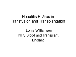 Hepatitis E Virus in Transfusion and Transplantation Lorna Williamson NHS Blood and Transplant, England.