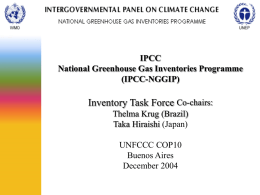 IPCC National Greenhouse Gas Inventories Programme (IPCC-NGGIP)  Inventory Task Force Co-chairs: Thelma Krug (Brazil) Taka Hiraishi (Japan) UNFCCC COP10 Buenos Aires December 2004