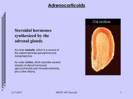 Adrenocorticoids  Steroidal hormones synthesized by the adrenal glands An inner medulla, which is a source of the catecholamines epinephrine and norepinephrine. An outer cortex, which secretes several classes.