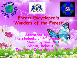 Forest Encyclopedia “Wonders of the Forest” Sponsored by the students of 4th grades Slonim gymnasium 1 Slonim, Belarus Teacher - Irina Volynets.