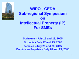 WIPO - CEDA Sub-regional Symposium on Intellectual Property (IP) For SMEs Suriname - July 18 and 19, 2005 St.